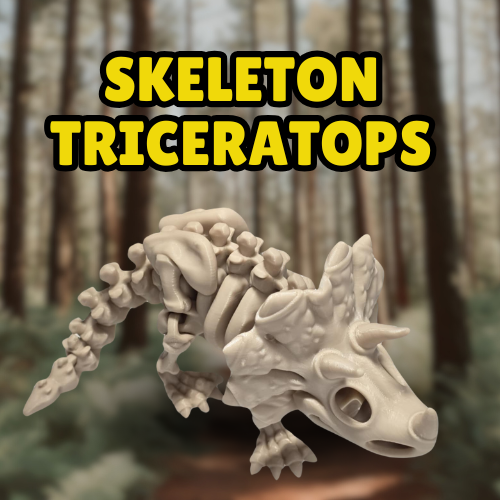 Skeleton Triceratops