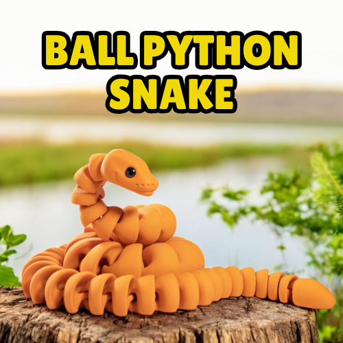 Ball Python Snake